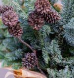 Holiday Greens