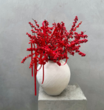 Red Ilex