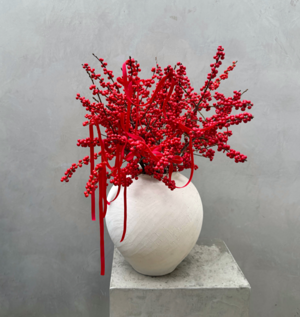 Red Ilex