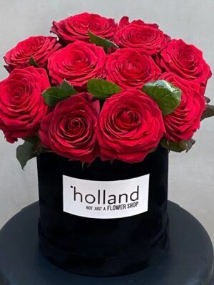 All You Need Is Love: Red Roses