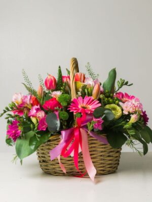 Absolute Harmony: Gerberas & Alstroemerias