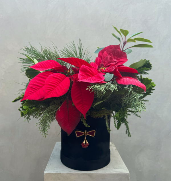 The Jolly Holly Hat