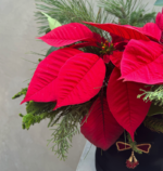 The Jolly Holly Hat