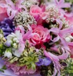 The Sweet Charm: Seasonal Flowers