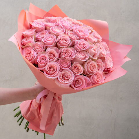 Pink Perfection: Pink Roses