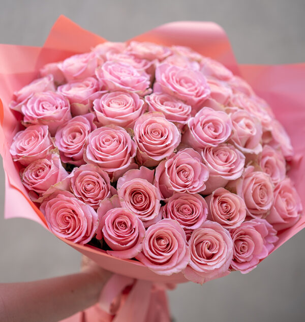 Pink Perfection: Pink Roses