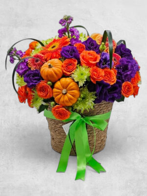 Autumn's Harvest