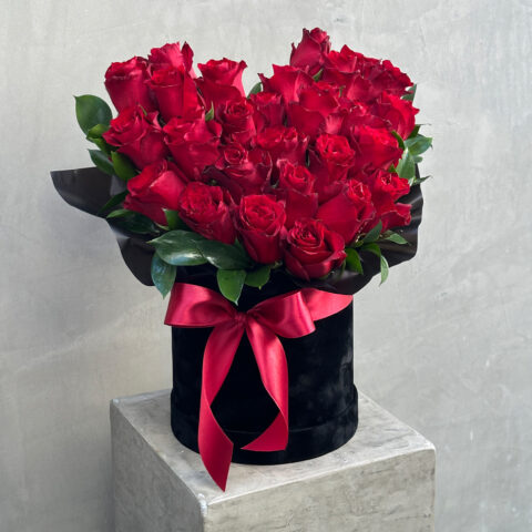 Velvet Romance