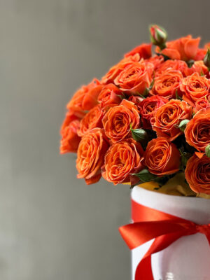 ORANGE_BOX_2