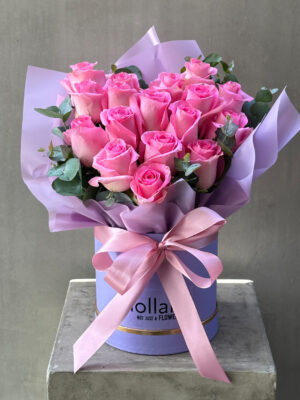 Pastel Perfection
