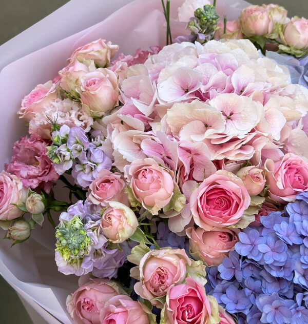 Blush Serenity