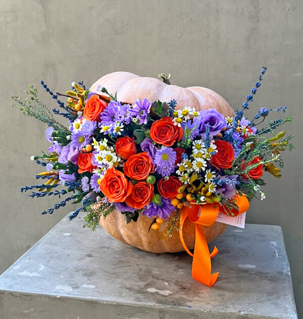 Pumpkin’s Whimsy 💐